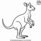 Kangaroo Hop Coloring Pages sketch template