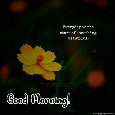 Good Morning Quotes in English | 1200+ Good Morning Wishes in English