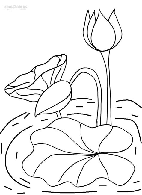 Printable Lily Pad Coloring Pages For Kids