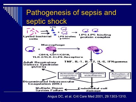 Sepsis to Septic Shock | Septic shock, Sepsis pathophysiology, Sepsis