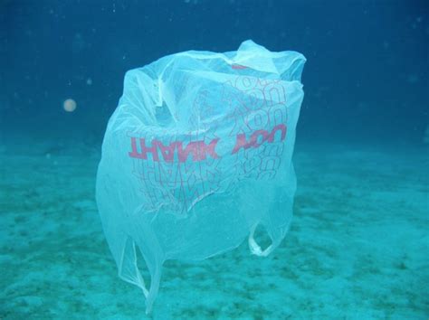 Another Shore town adopts plastic bag ban - WHYY