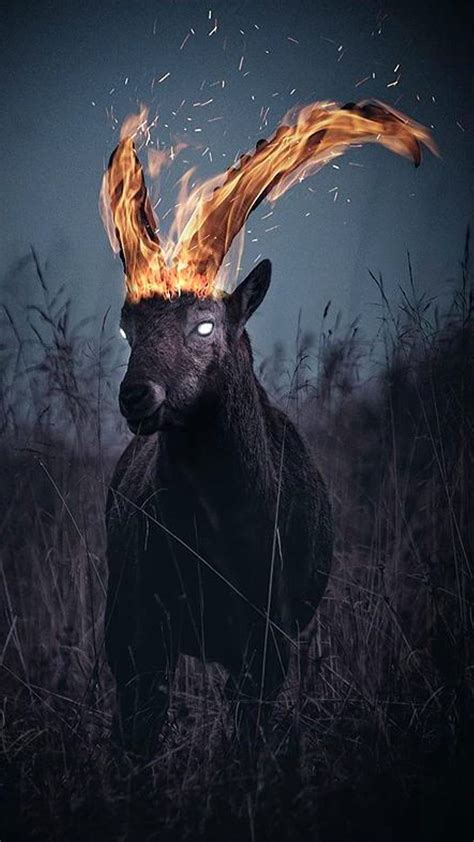 1920x1080px, 1080P free download | Goat, animal, burn, burning, fantasy, fire, HD phone ...