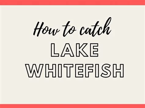 How to Catch Lake Whitefish - Fishing Tips