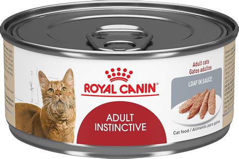 The Best Cat Wet Food Royal Canin - Home Appliances