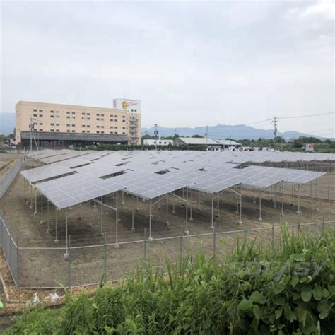 Advantages of Photovoltaic Agriculture - soeasyrobot.com