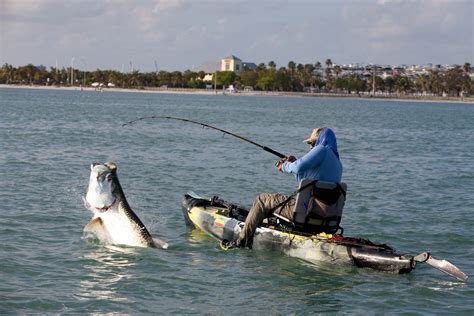 BISCAYNE BAY KAYAK FISHING CHARTERS - BONECOLLECTORKAYAKFISHING