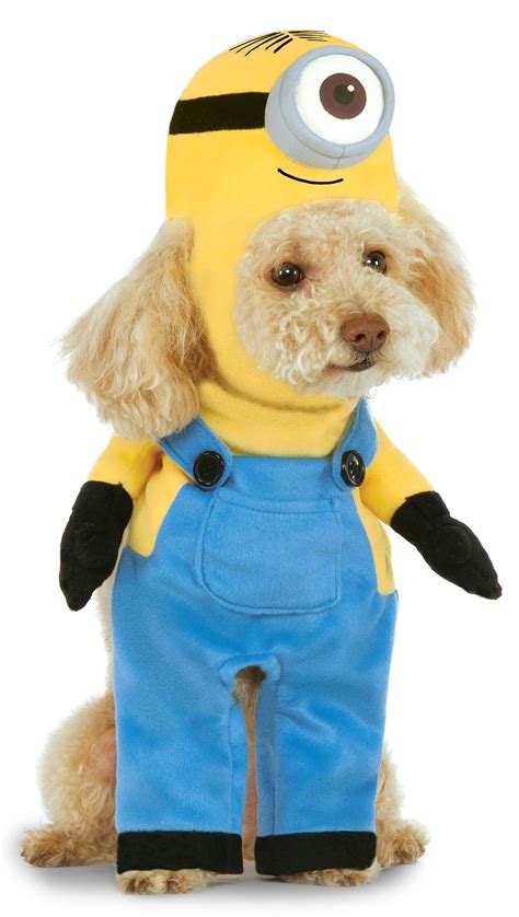 Enjoy Free Worldwide Shipping Online Wholesale Shop Size X-Large Official Rubies Minion Pet Dog ...