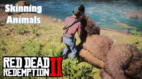 Skinning Animals in Red Dead Redemption 2 |RDR2| |Arthur Morgan| - YouTube