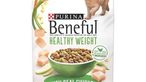 Beneful Healthy Weight Food Review | Scout Knows