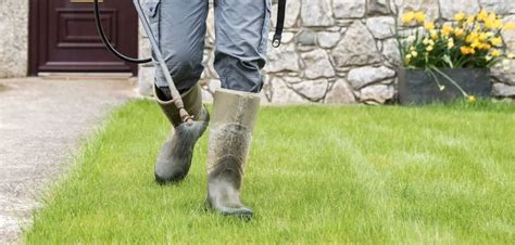 The 8 Best Weed Killers for Driveways - Ismysoilgood.com