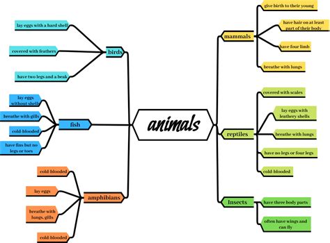 Mind Map For Animals | Карта ума Template