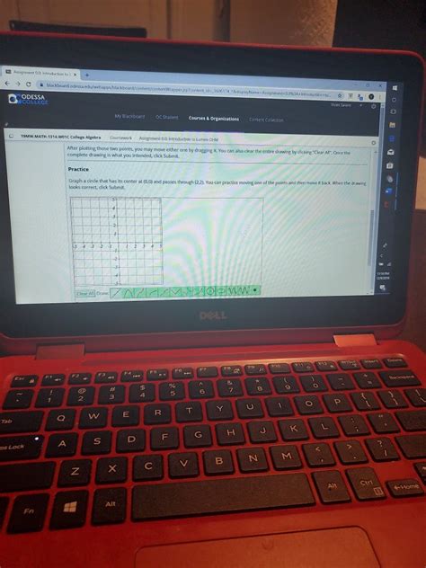 Solved Assignment Introduction in x + → C b lackboard odessa | Chegg.com