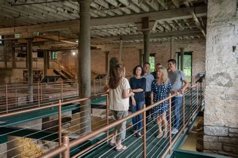 Buffalo Trace Distillery Virtual Tour | Travel Distilled