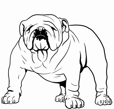 Bulldog Coloring Pages Printable