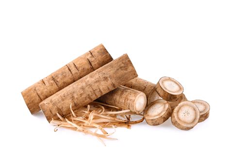 What Is Burdock Root and How to Use It