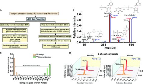 LC-MS/MS Method for the Detection, Identification, and Relative... | Download Scientific Diagram