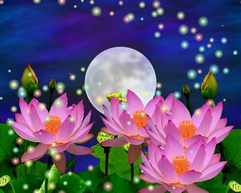 2-25604_beautiful-3d-flower-wallpapers-moon-and-lotus-flower – TCO Cert