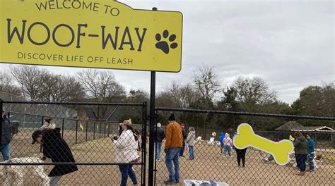 Our Favorite Dog Friendly Places in Waco, Texas - Modern Texas Living