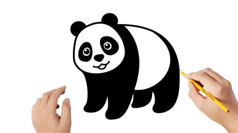 Animado Imagenes De Oso Panda Para Dibujar - kropkowe-kocie