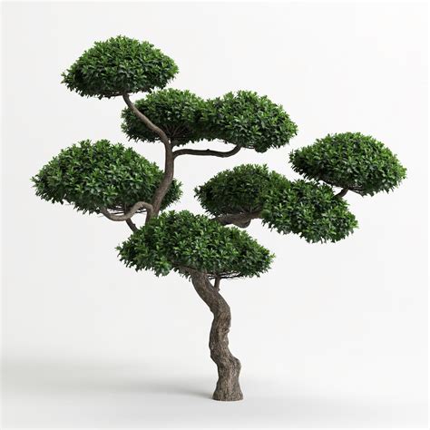 Premium Photo | 3d illustration of ilex cornuta bonsai isolated on white and its mask