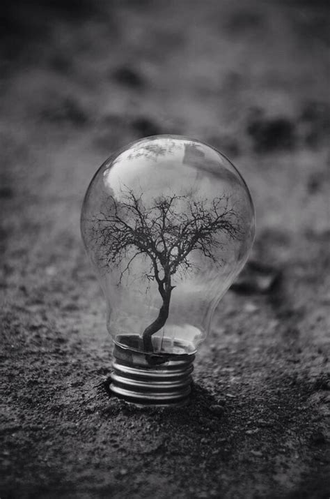 Light bulb | Conceptual photography, Art photography, Surrealism ...