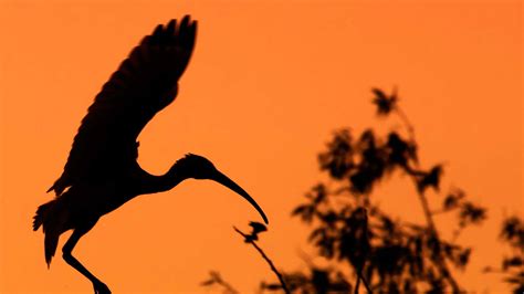 PhotoWeekender - Florida Keys Sunset