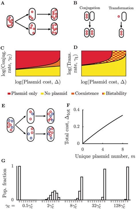 Different modeled mechanisms of plasmid transfer lead to distinct ...