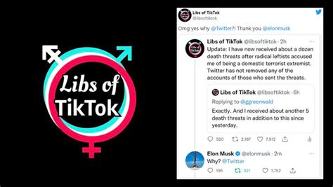 Libs Of Tik Tok Again At The Center Of Attention Because Of Elon Musk ...