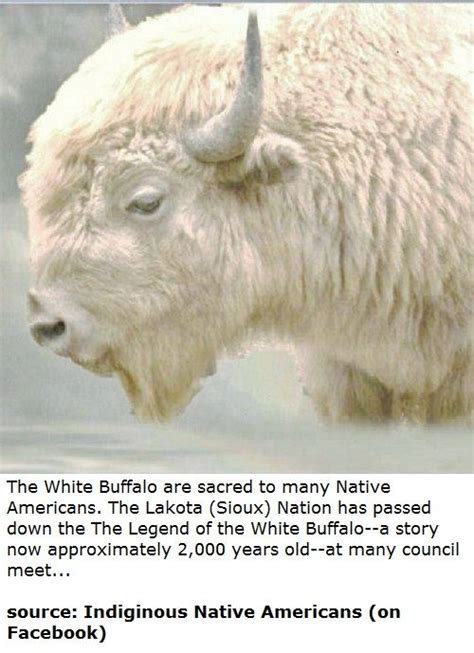 Legend of the White Buffalo | Dieren, Godinnen