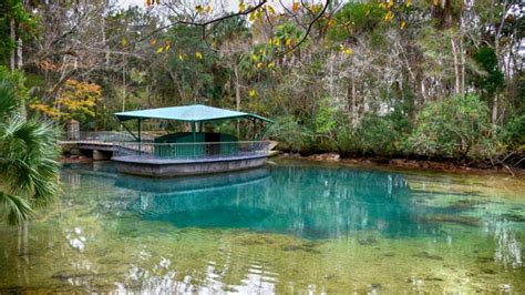 Ellie Schiller Homosassa Springs Wildlife State Park | Florida State Parks