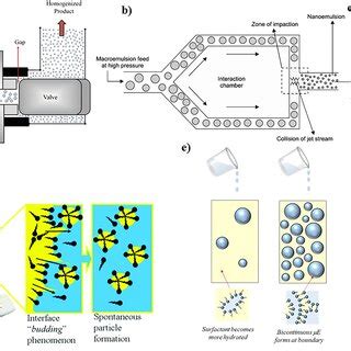 Nanoemulsion applications and their specific functions in food industry | Download Scientific ...