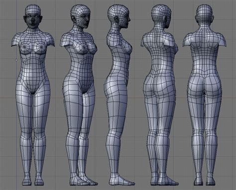 3D Female References에 있는 핀