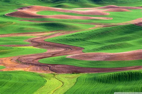 Palouse Hills From Steptoe Butte Washington Ultra HD Desktop Background ...