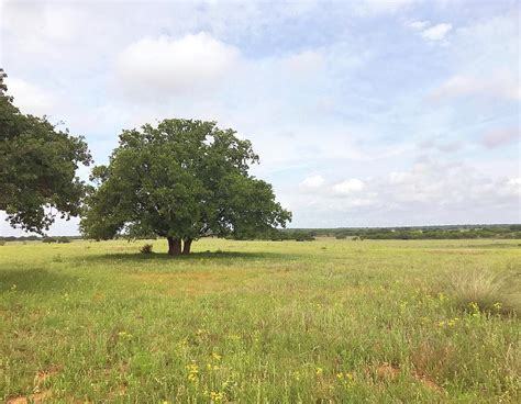 Texas Countryside Photograph by Art Block Collections - Pixels