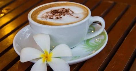 Hawaii Coffee Company - Hawaii's Favorite Coffee Brands