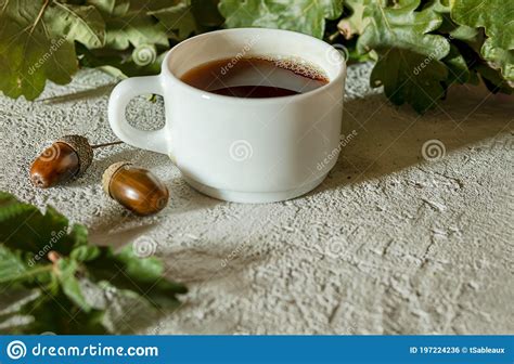 Cup of Acorn Coffee, Acorns and Green Oak Leaves on a Gray Background Stock Photo - Image of ...