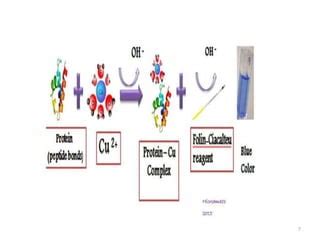 Lowry Protein Assay | PPT