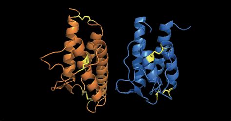 Antibody May Provide New Treatment for Food Allergies | SnackSafely.com