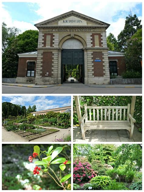 The Botanical Garden in Leuven, Belgium - Wonderful Wanderings ...