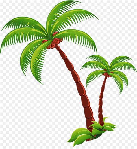 transparent background coconut tree clipart 10 free Cliparts | Download images on Clipground 2024