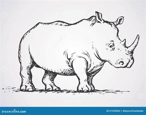 Rhinoceros. Vector drawing stock vector. Illustration of african - 51334964