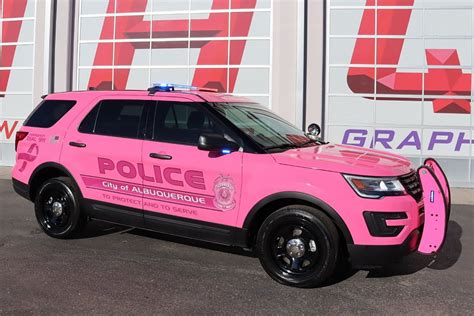 Pink Fashion Police Badge