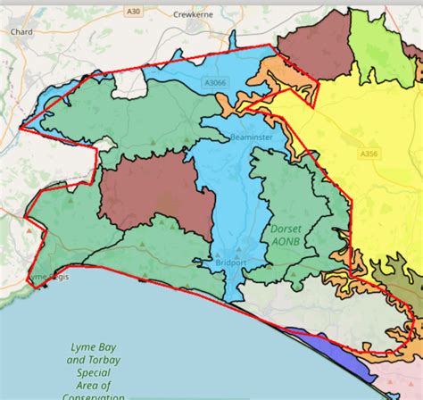 Bridport Area Tree Plan – Bridport Town Council