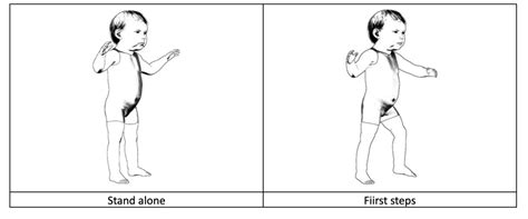 Learning To Stand - Development and Training - Physiopedia