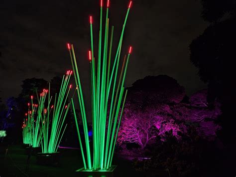 Lightscape, Royal Botanic Gardens Melbourne 2024 - Mum's Little Explorers