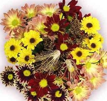 Mariano's: one day $5 floral bouquet sale - Chicago on the Cheap