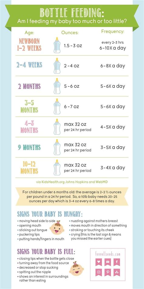 Bottle Feeding: Am I Feeding My Baby Too Much or Too Little? | Baby care tips, Baby information ...