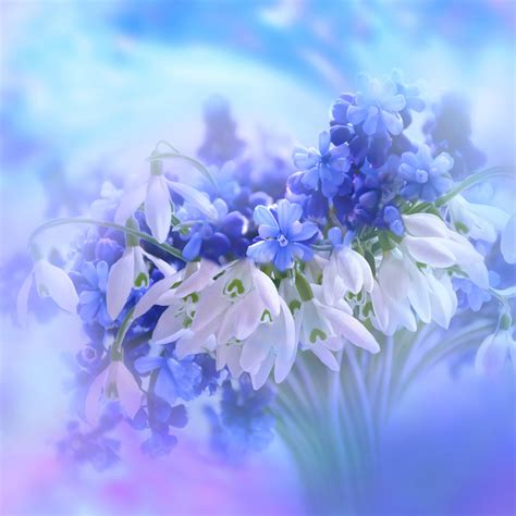 Blue flowers Wallpaper 4K, Hyacinth, White, Blossom