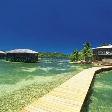 Snorkeling Near La Ceiba, Honduras | USA Today