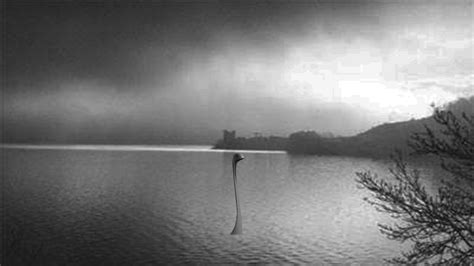 PsBattle: Nessie the Loch Ness Ladle (x--posted) : r/photoshopbattles